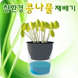친환경 콩나물 재배기(5인1세트)