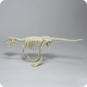 티라노사우르스만들기(PVC) -공룡뼈대맞추기