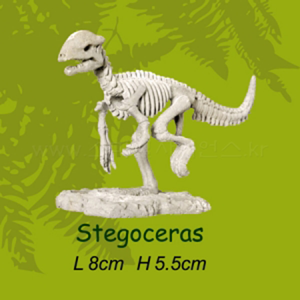 미니공룡뼈발굴 - 스테고세라스(SDS6)