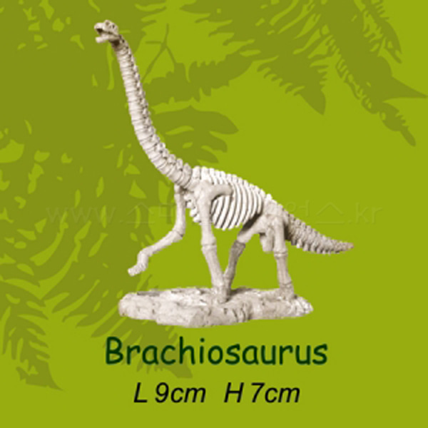 미니공룡뼈발굴 - 브라키오사우루스(SDS7)