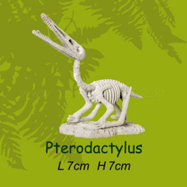 미니공룡뼈발굴 - 프테로닥티루스(SDS8)