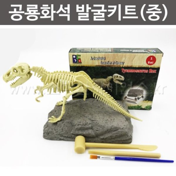 공룡화석발굴키트(중)